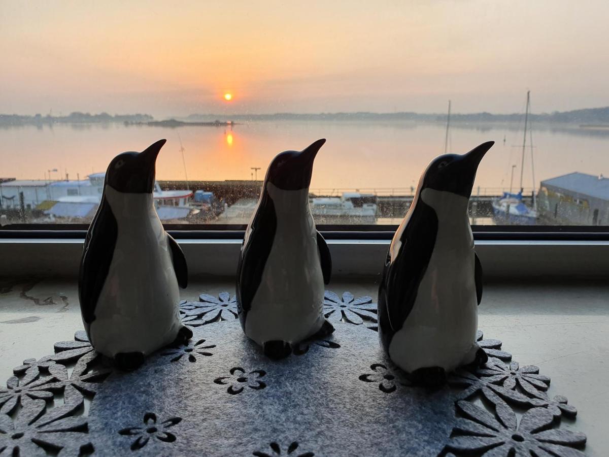 Ferienwohnung Schleiloge Mit Panoramablick Auf Die Schlei Schleswig Dış mekan fotoğraf